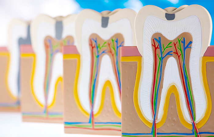 歯科用顕微鏡「マイクロスコープ」を導入